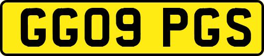 GG09PGS