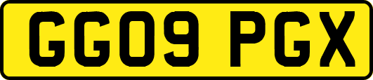 GG09PGX
