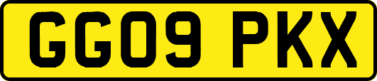 GG09PKX