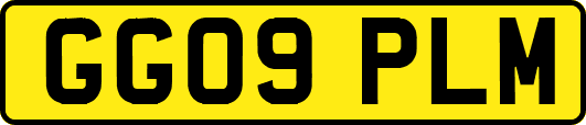 GG09PLM