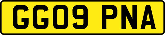 GG09PNA