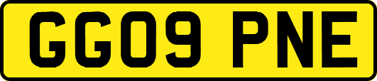 GG09PNE