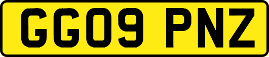 GG09PNZ