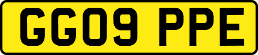 GG09PPE