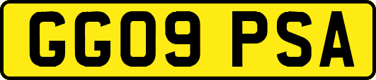 GG09PSA