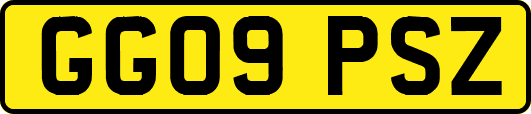 GG09PSZ
