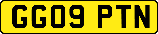 GG09PTN