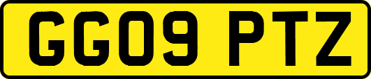 GG09PTZ