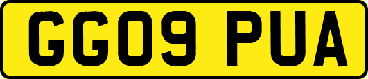GG09PUA