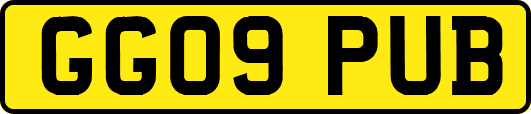 GG09PUB