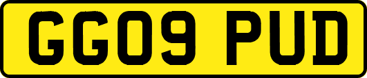 GG09PUD