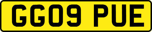 GG09PUE
