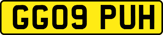 GG09PUH