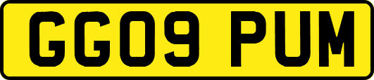 GG09PUM