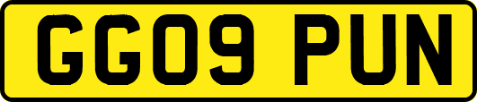 GG09PUN