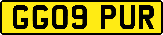 GG09PUR