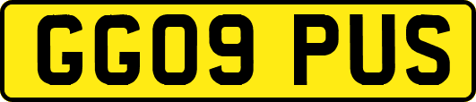 GG09PUS