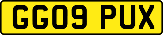 GG09PUX