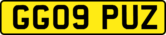 GG09PUZ