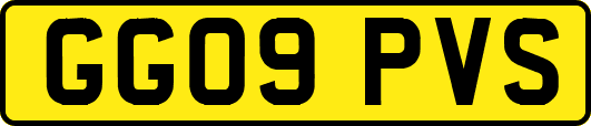 GG09PVS
