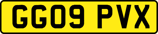 GG09PVX