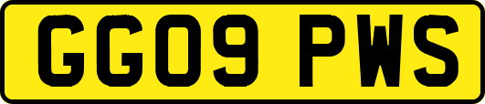 GG09PWS