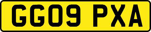 GG09PXA