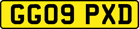 GG09PXD