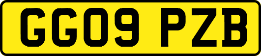GG09PZB
