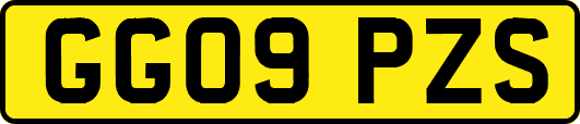GG09PZS
