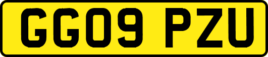 GG09PZU