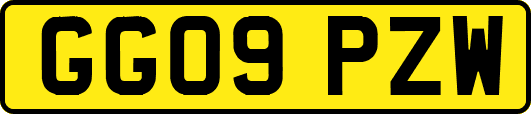 GG09PZW