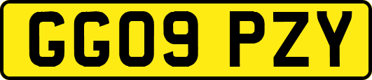 GG09PZY