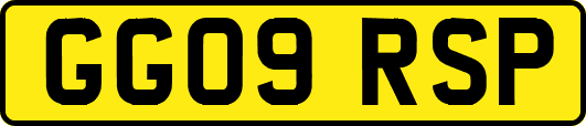 GG09RSP