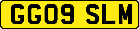 GG09SLM