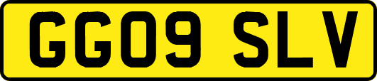 GG09SLV