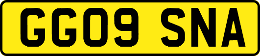 GG09SNA