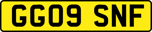 GG09SNF