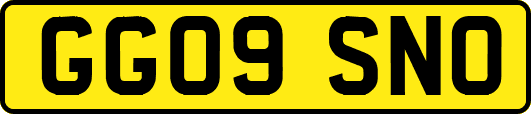 GG09SNO