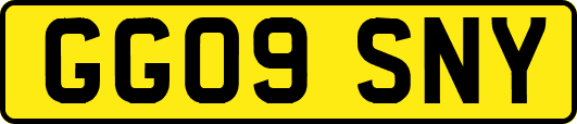 GG09SNY