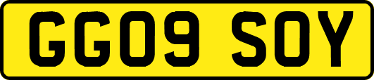 GG09SOY
