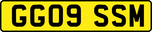GG09SSM