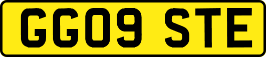 GG09STE