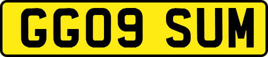 GG09SUM