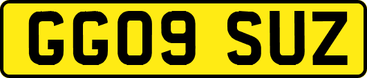 GG09SUZ
