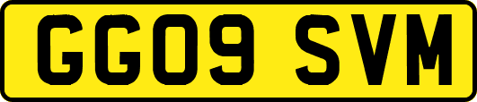 GG09SVM