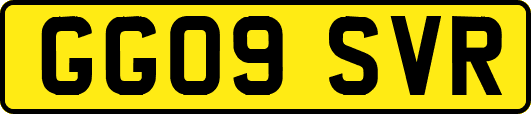 GG09SVR