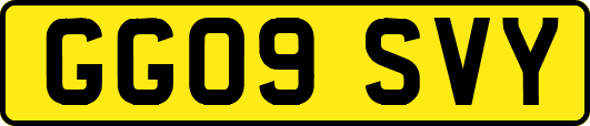 GG09SVY