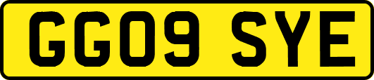 GG09SYE