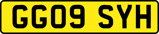 GG09SYH